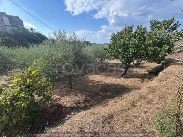 terreno agricolo in vendita a Soriano nel Cimino in zona Chia