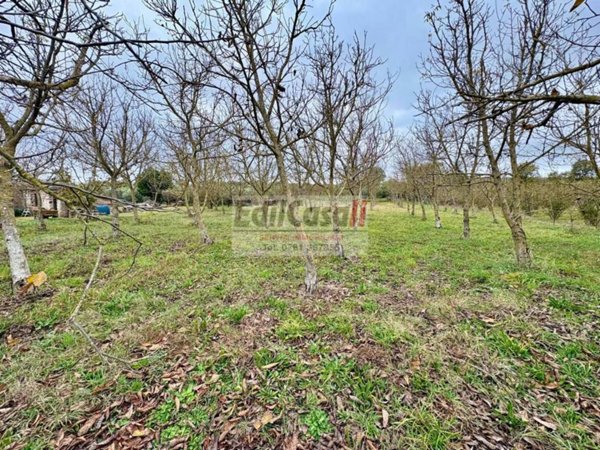 terreno agricolo in vendita a Soriano nel Cimino in zona Chia