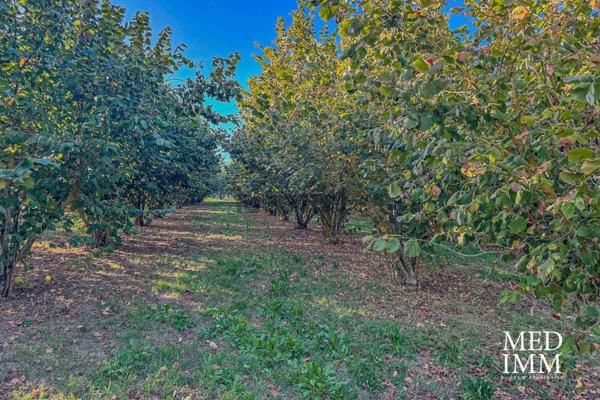 casa indipendente in vendita a Soriano nel Cimino