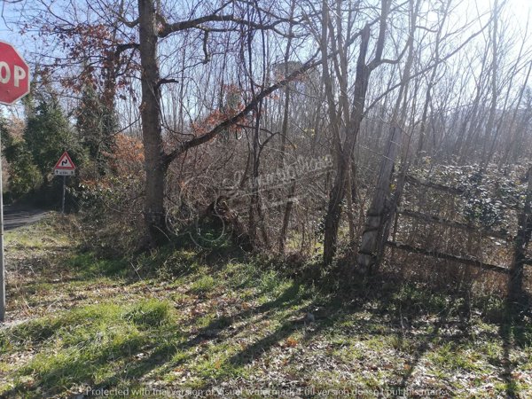 terreno agricolo in vendita a Soriano nel Cimino