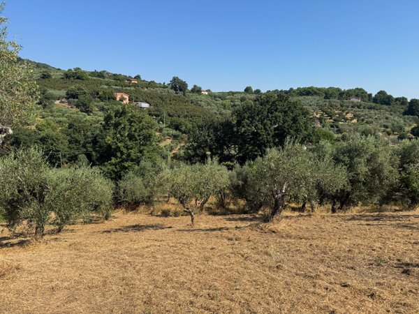 terreno agricolo in vendita a Soriano nel Cimino