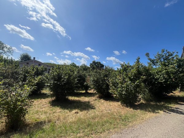terreno agricolo in vendita a Soriano nel Cimino