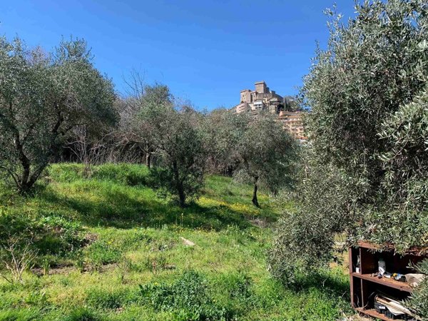terreno agricolo in vendita a Soriano nel Cimino