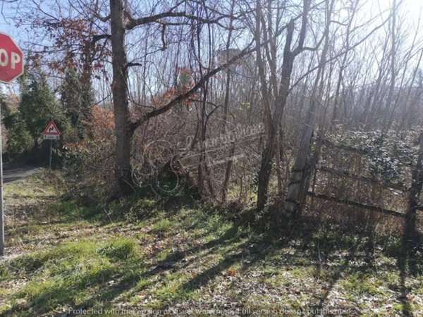terreno agricolo in vendita a Soriano nel Cimino