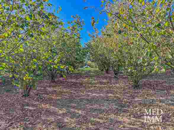 casa indipendente in vendita a Soriano nel Cimino