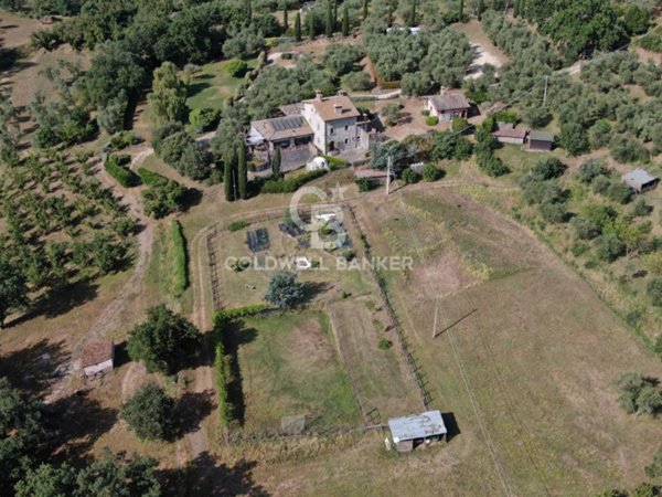 casa indipendente in vendita a Soriano nel Cimino