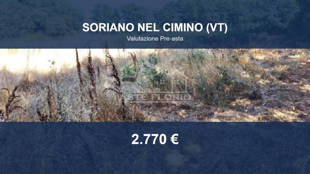 terreno agricolo in vendita a Soriano nel Cimino