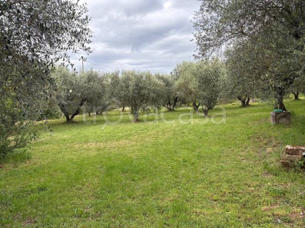 casa indipendente in vendita a Soriano nel Cimino