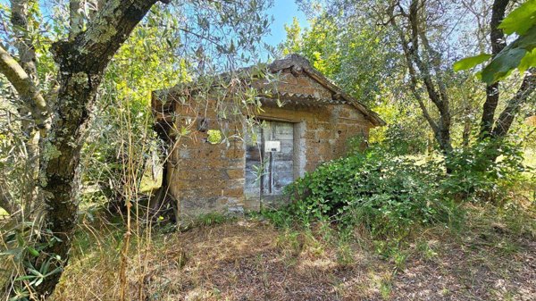 terreno agricolo in vendita a Soriano nel Cimino in zona Sant'Eutizio