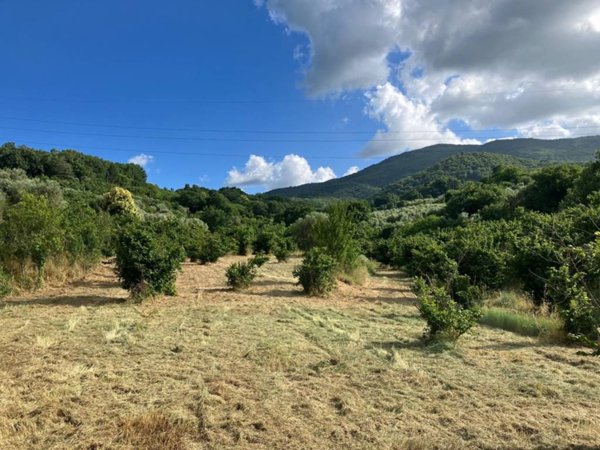 terreno agricolo in vendita a Soriano nel Cimino in zona Chia