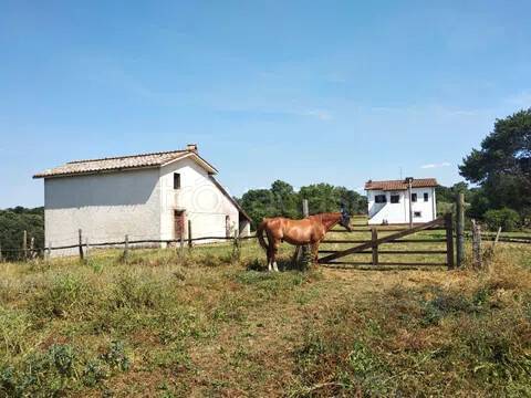 casa indipendente in vendita a Soriano nel Cimino in zona Chia