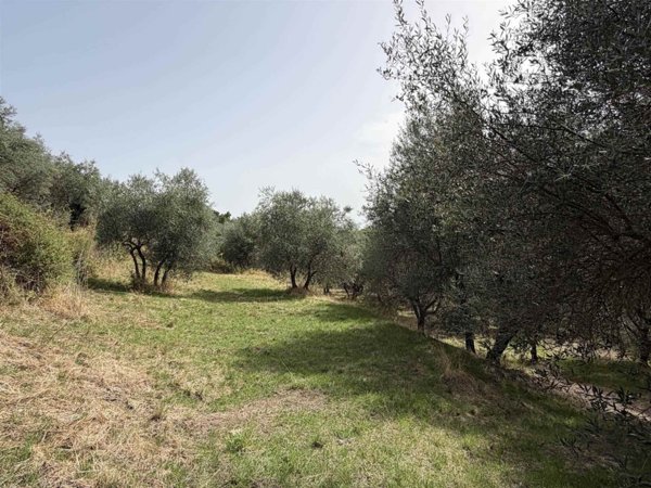 casa indipendente in vendita a Soriano nel Cimino