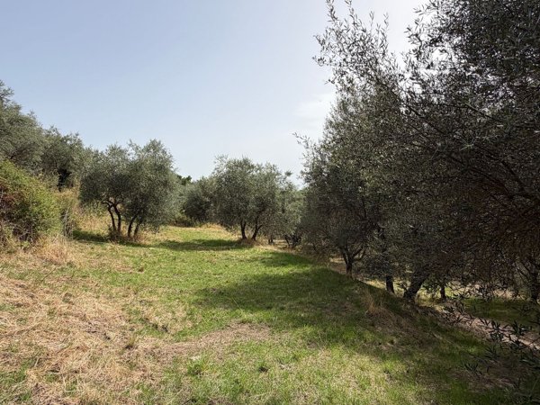 casa indipendente in vendita a Soriano nel Cimino in zona Chia