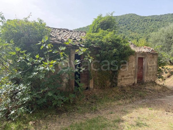 casa indipendente in vendita a Soriano nel Cimino in zona Chia