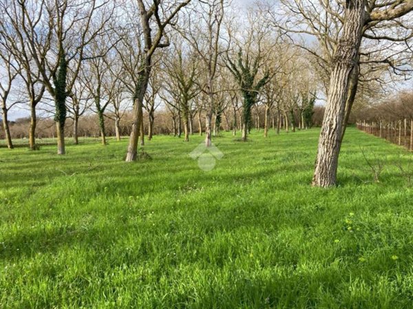 terreno agricolo in vendita a Sutri
