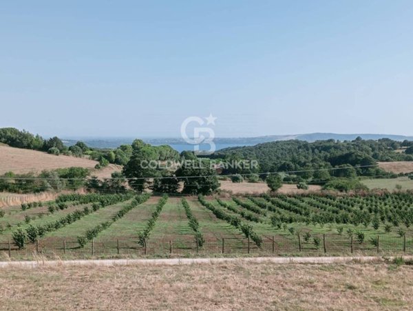 casa indipendente in vendita a Sutri