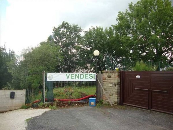 terreno agricolo in vendita a Sutri