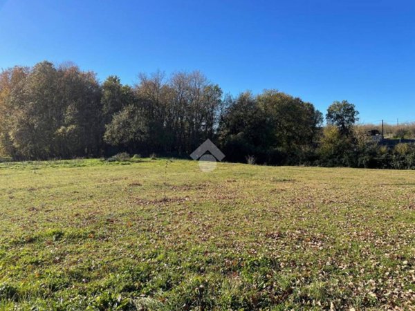 terreno agricolo in vendita a Sutri