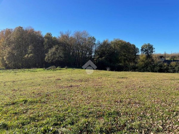 terreno agricolo in vendita a Sutri