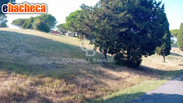 terreno agricolo in vendita a Sutri