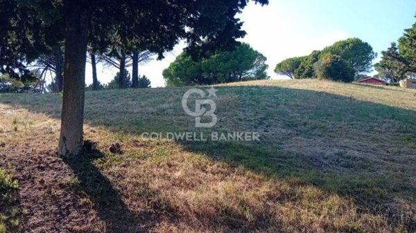 terreno agricolo in vendita a Sutri