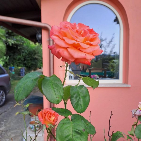 casa indipendente in vendita a Sutri