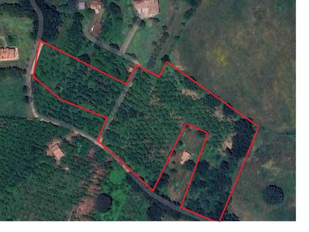 terreno agricolo in vendita a Sutri