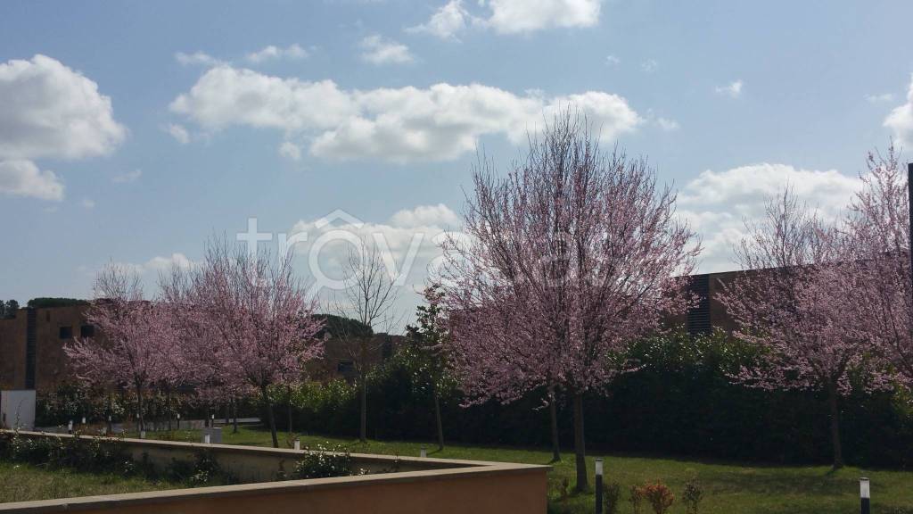casa indipendente in vendita a Sutri