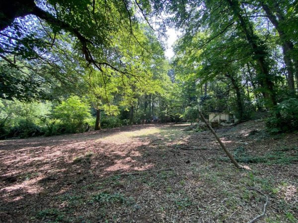 terreno agricolo in vendita a Sutri