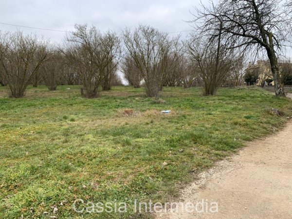 casa indipendente in vendita a Sutri