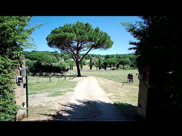 terreno agricolo in vendita a Sutri