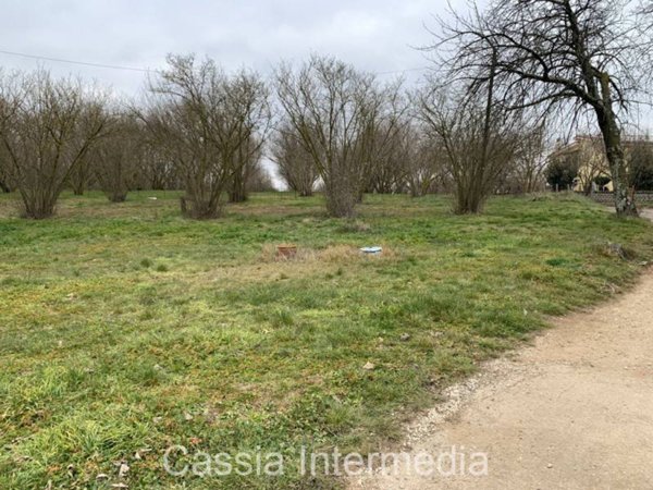 casa indipendente in vendita a Sutri