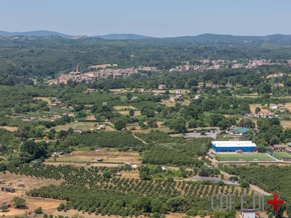 terreno agricolo in vendita a Sutri