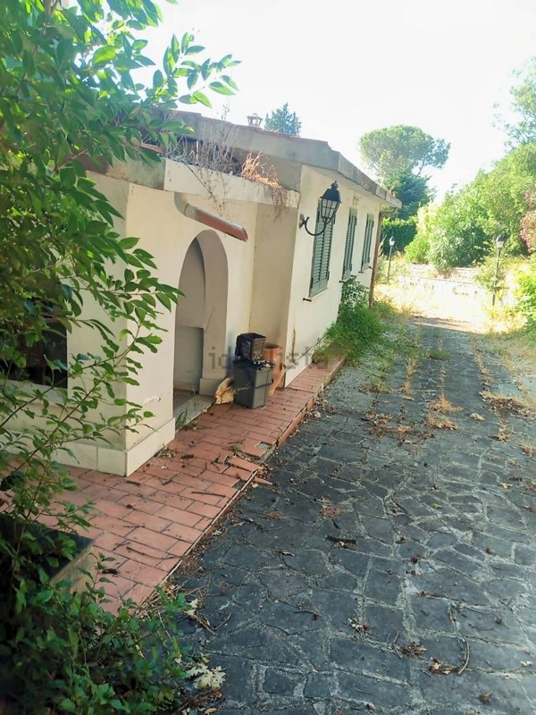 immagine annuncio 0 di 1