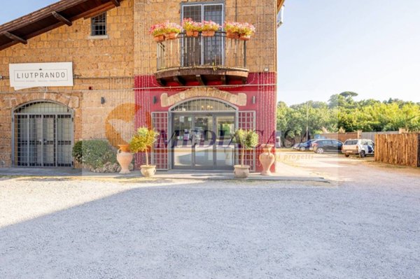 negozio in vendita a Sutri