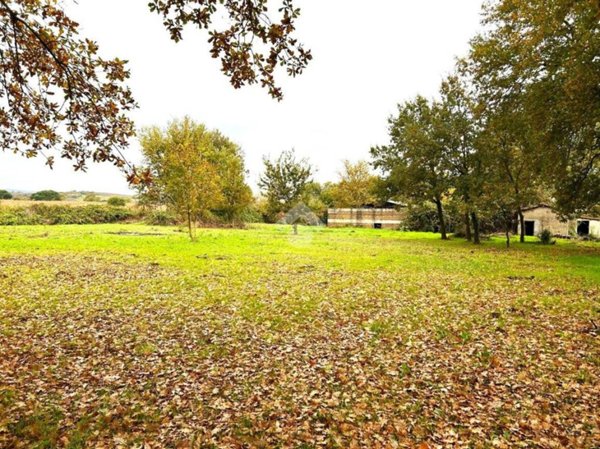 appartamento in vendita a Sutri