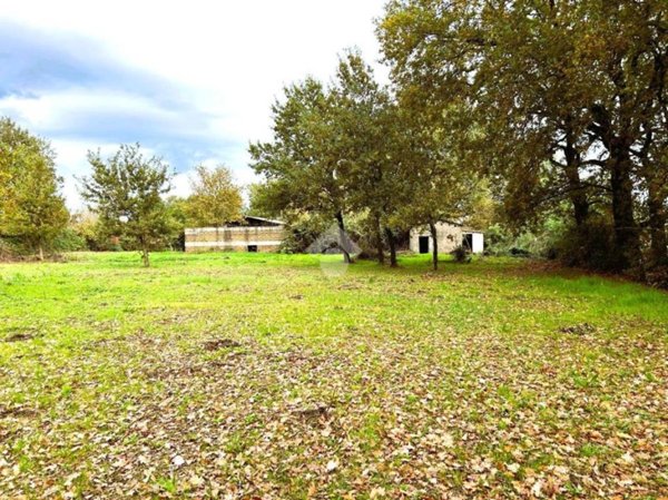 appartamento in vendita a Sutri