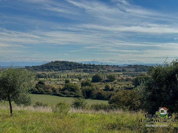 locale di sgombero in vendita a Sutri