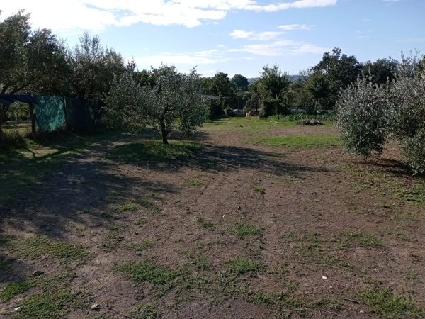 appartamento in vendita a Sutri