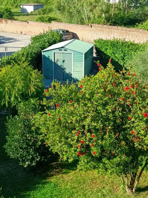 appartamento in vendita a Sutri