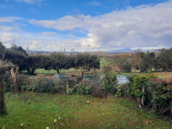 appartamento in vendita a Sutri