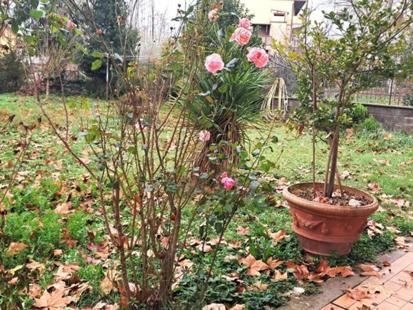 appartamento in vendita a Sutri