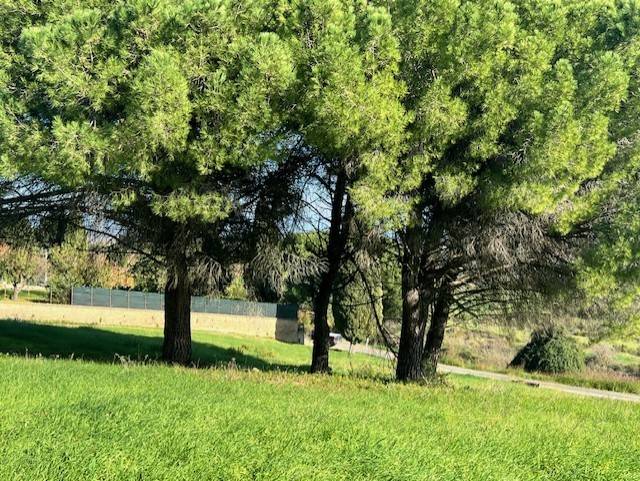terreno agricolo in vendita a Sutri