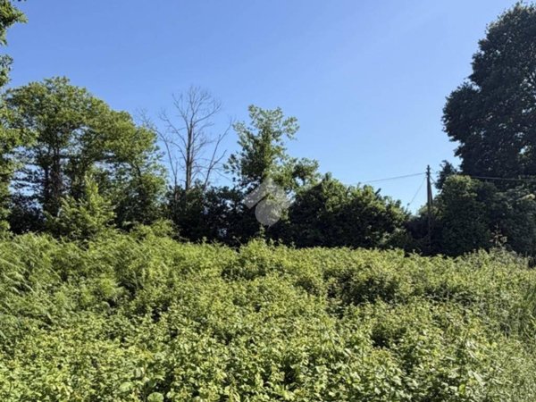 terreno agricolo in vendita a Sutri