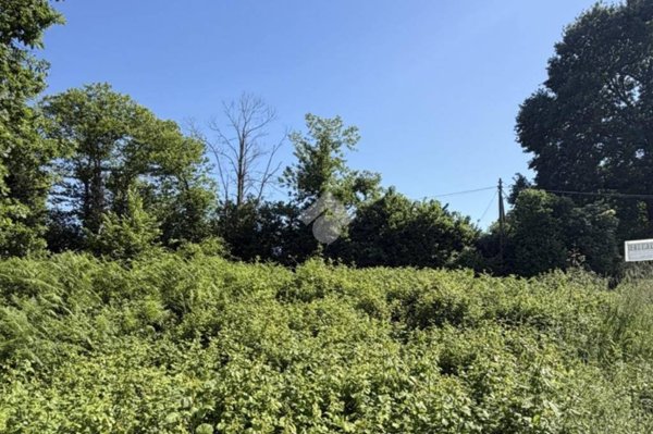 terreno agricolo in vendita a Sutri