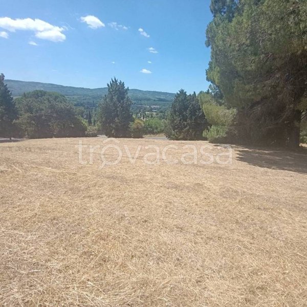 terreno in vendita a Sutri