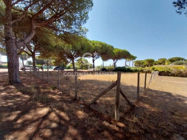 appartamento in vendita a Tarquinia
