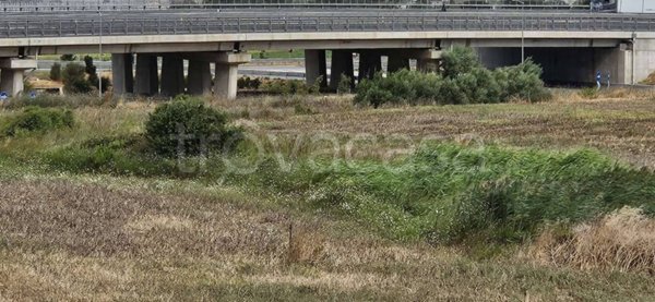 terreno industriale in vendita a Tarquinia