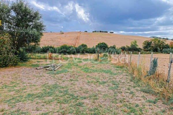 terreno agricolo in vendita a Tarquinia