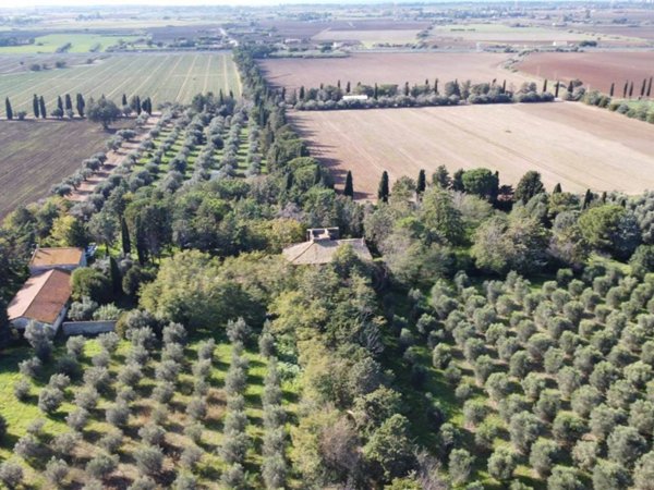 casa indipendente in vendita a Tarquinia